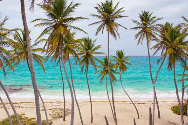 Best Caribbean Island to Visit for New Year's