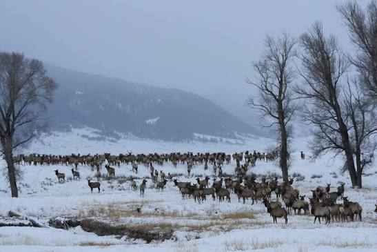 Best Mountain Towns to Visit for New Year's