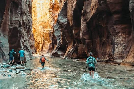 Best National Parks to Visit for New Year's