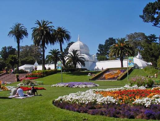 Things to Do in San Francisco for New Year's