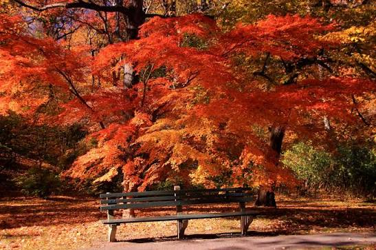 Things to Do in Boston MA for New Year's Eve