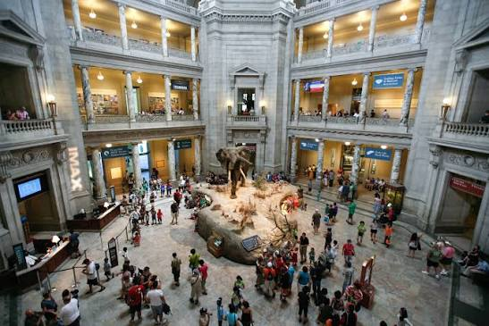 Things to Do in DC for New Years Eve