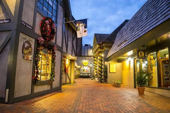 Things to Do in Gatlinburg for New Year's