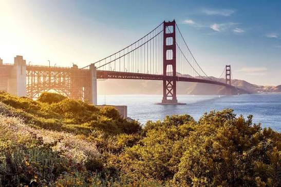 New Year Celebration in the Bay Area